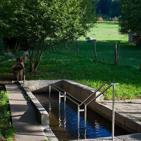 Apartmán Ferienwohnung Im Terrassenpark Sasbachwalden