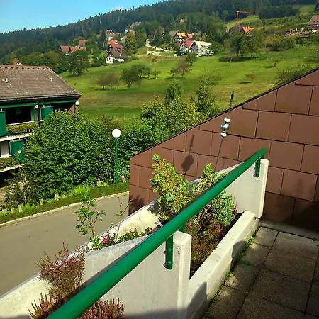 Apartmán Ferienwohnung Im Terrassenpark Sasbachwalden